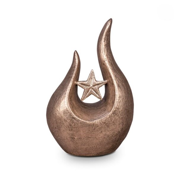 Fuego Brons look urn met ster