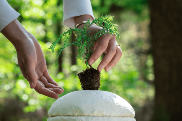 paddenstoelen urn