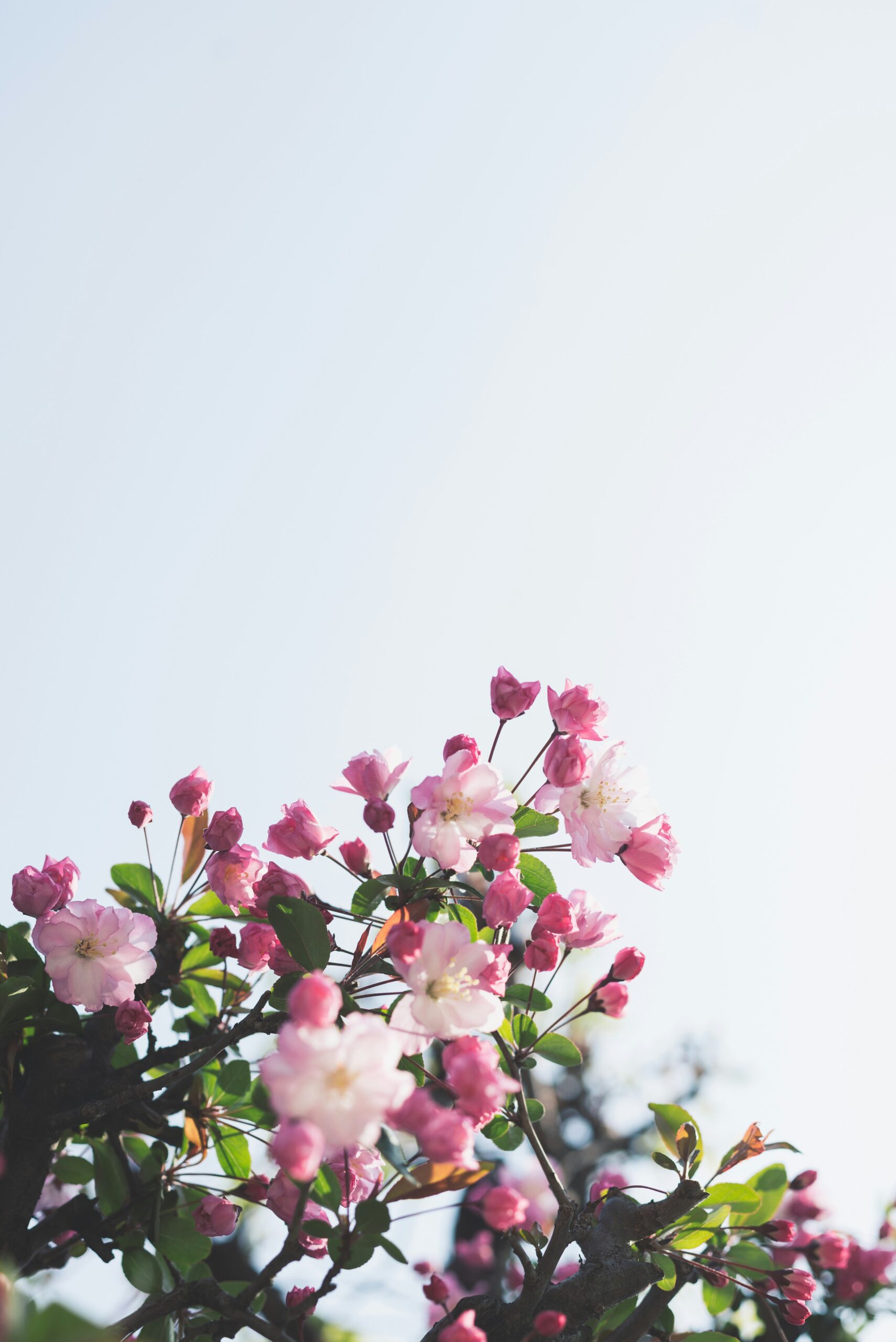 Bloemen bij overlijden