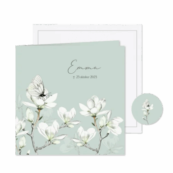 rouwkaart-magnoliatak-vlinder